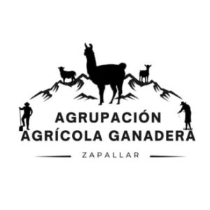 logotipo zapallar