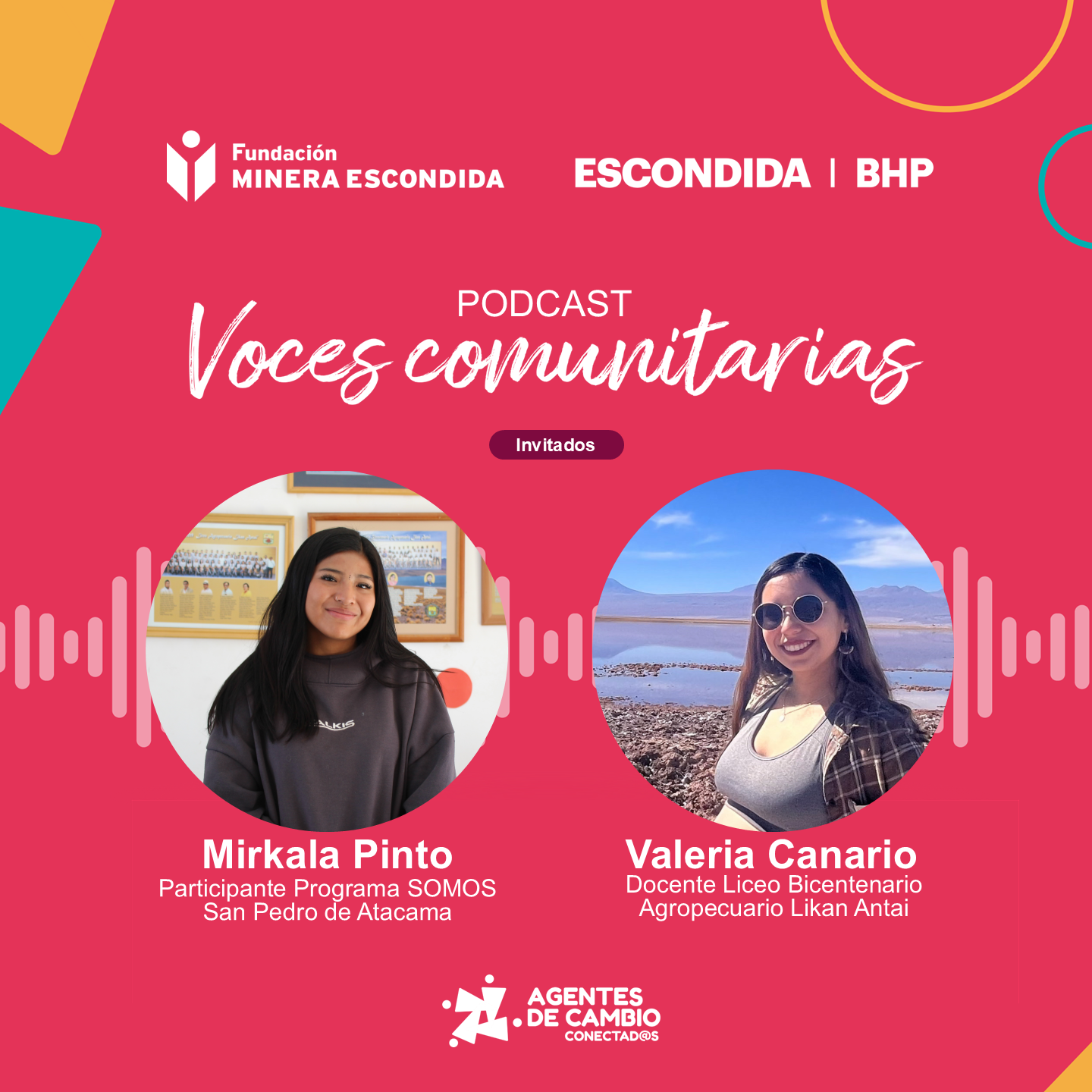 Conecta FME